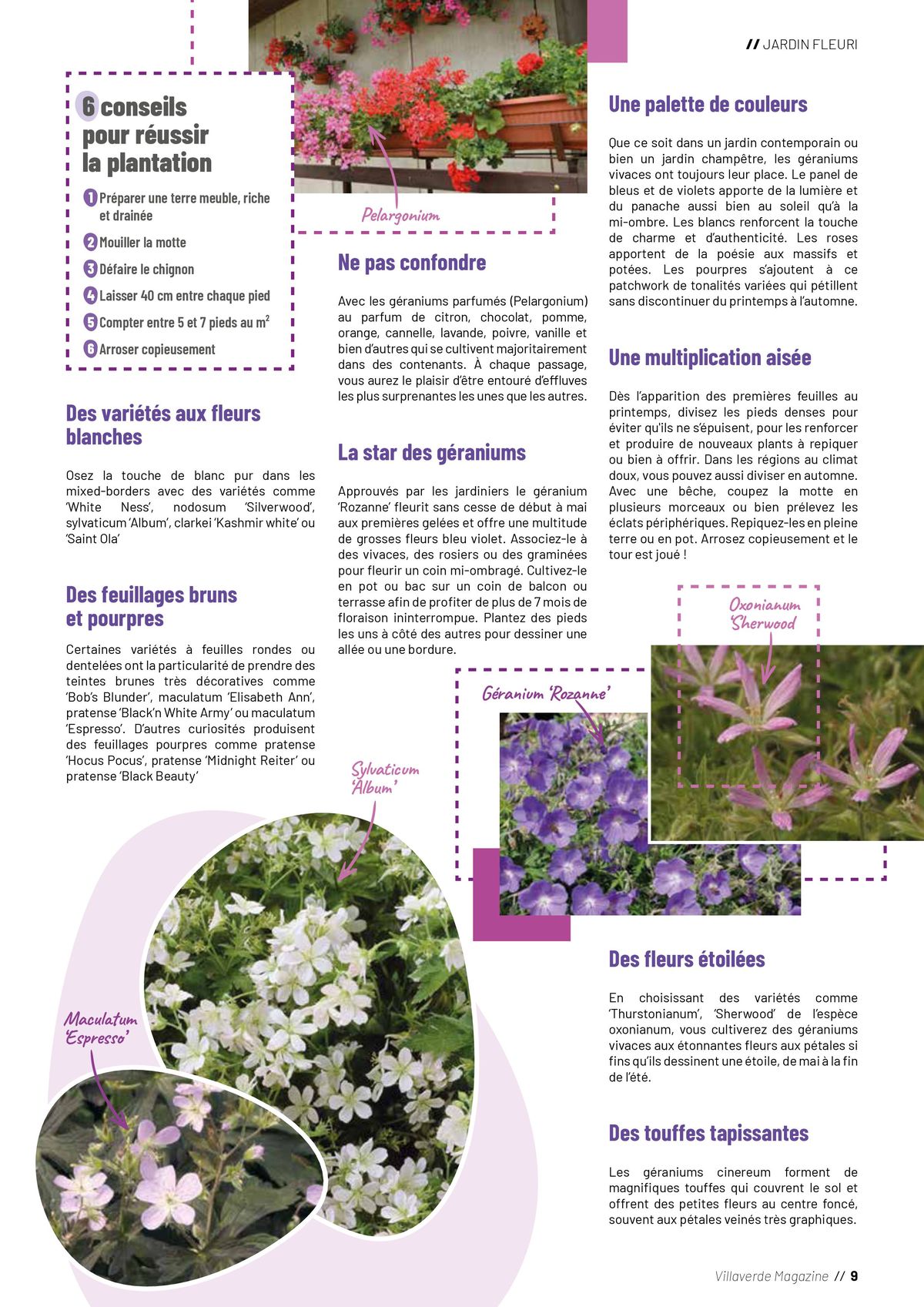 Catalogue Plantes, page 00009
