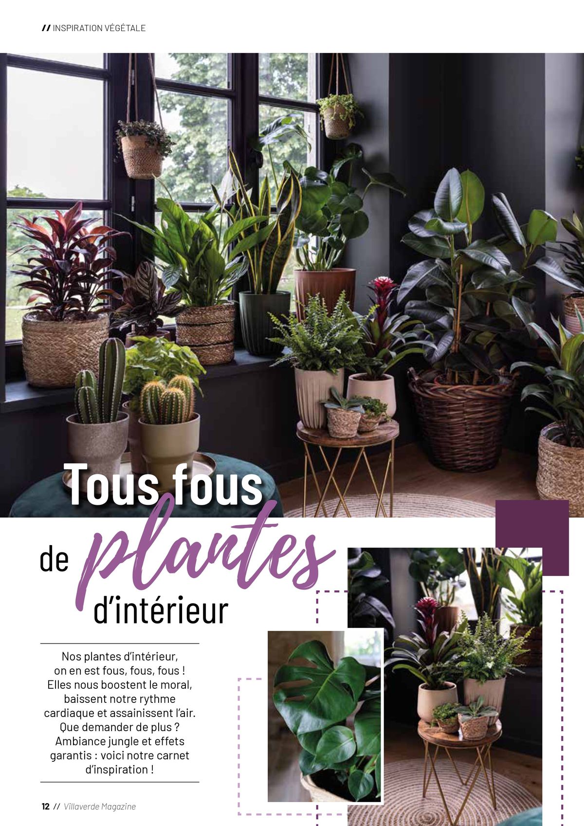 Catalogue Plantes, page 00012