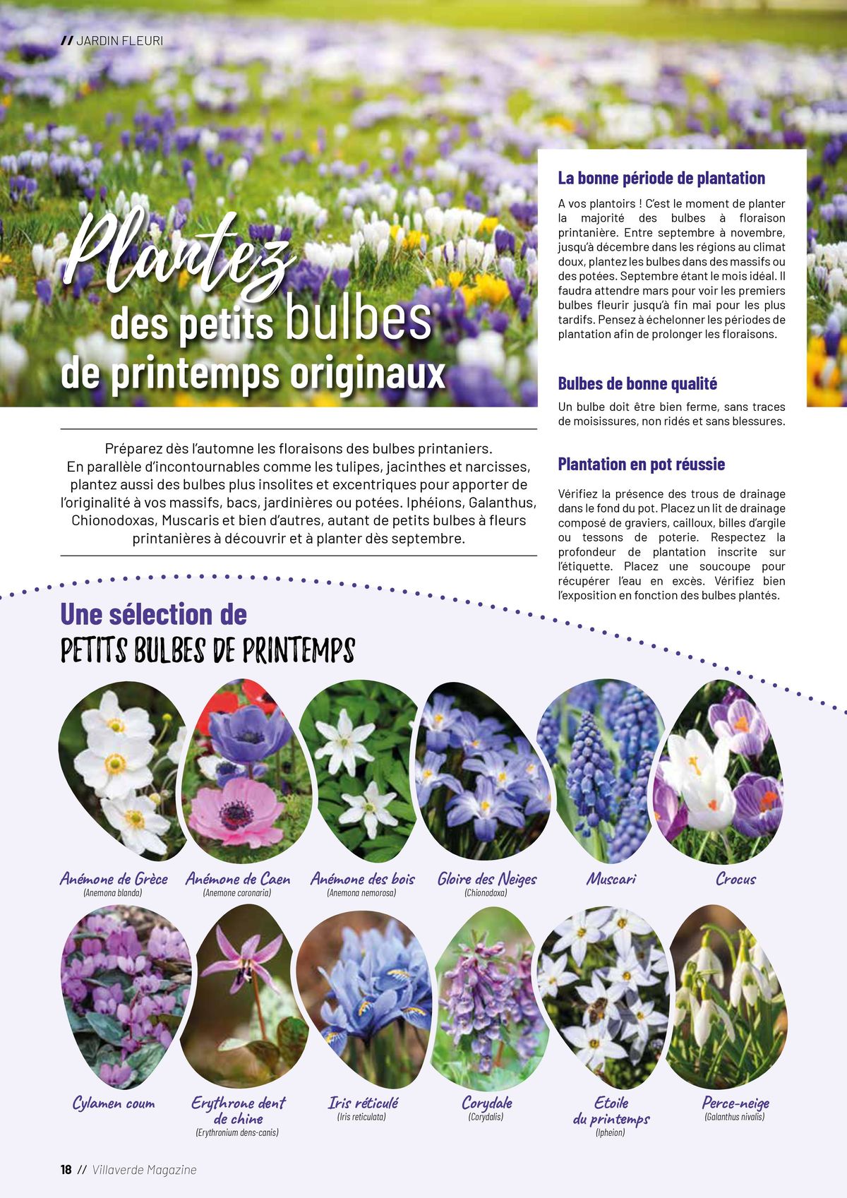 Catalogue Plantes, page 00018