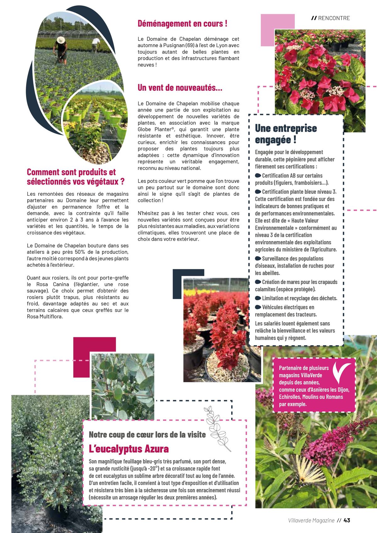 Catalogue Plantes, page 00043
