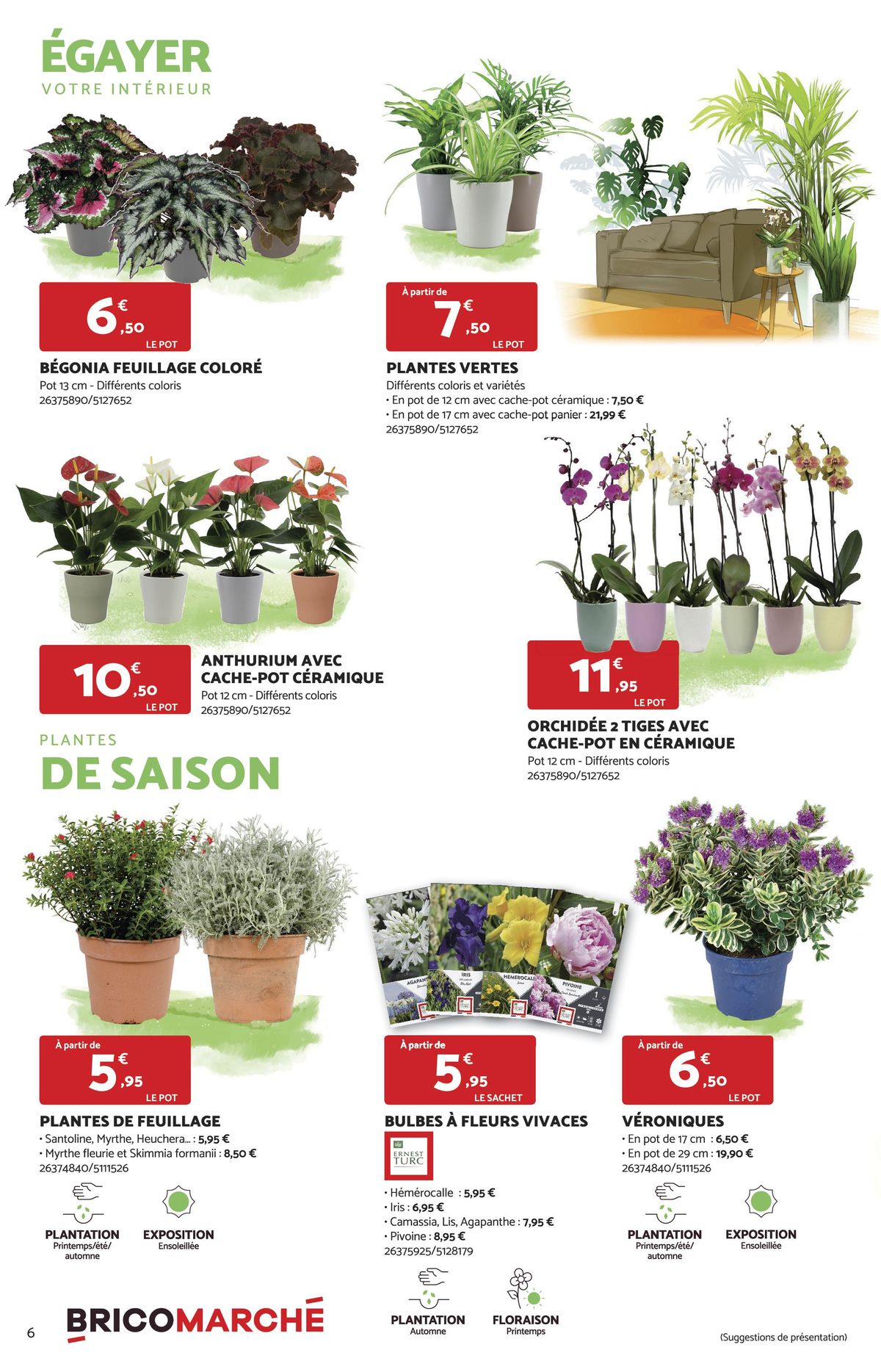 Catalogue IDÉAL POUR UN JARDIN AUTOMNAL, page 00006