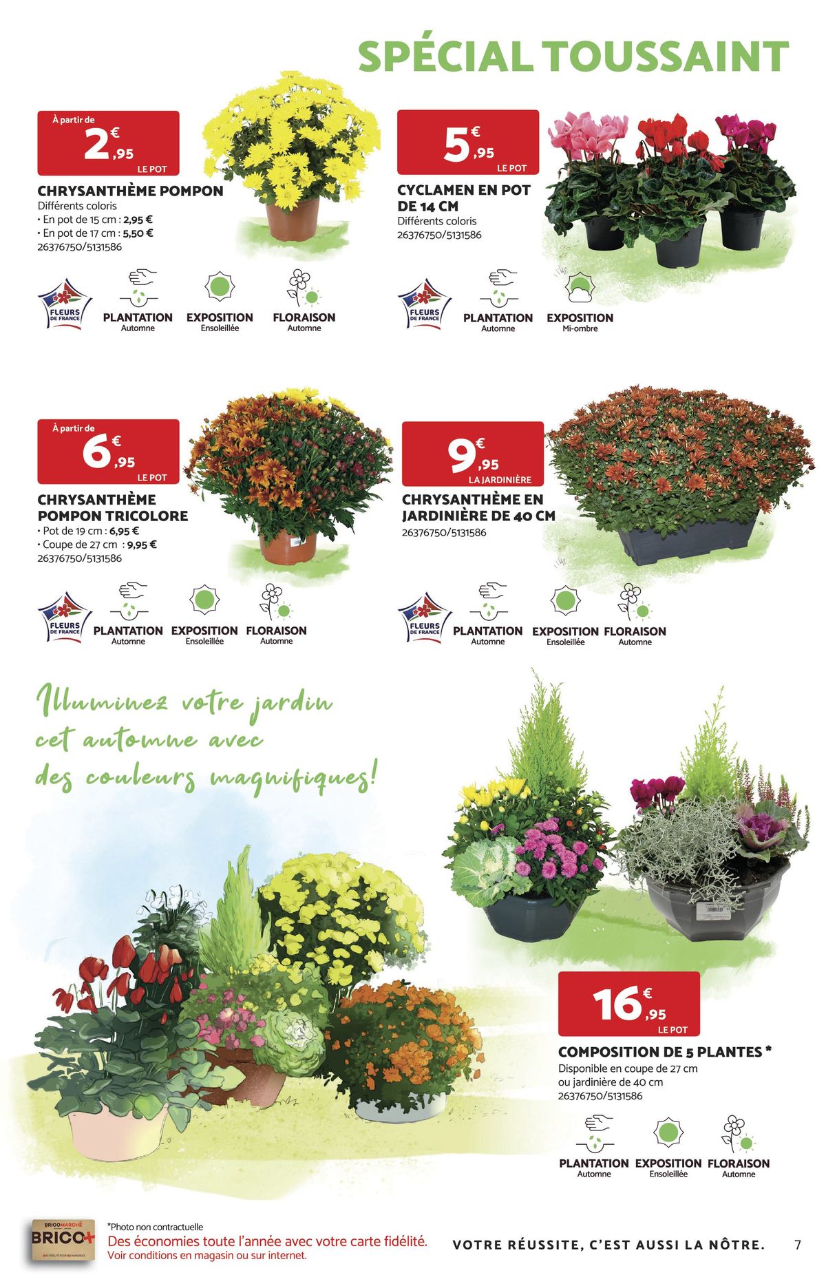 Catalogue IDÉAL POUR UN JARDIN AUTOMNAL, page 00007