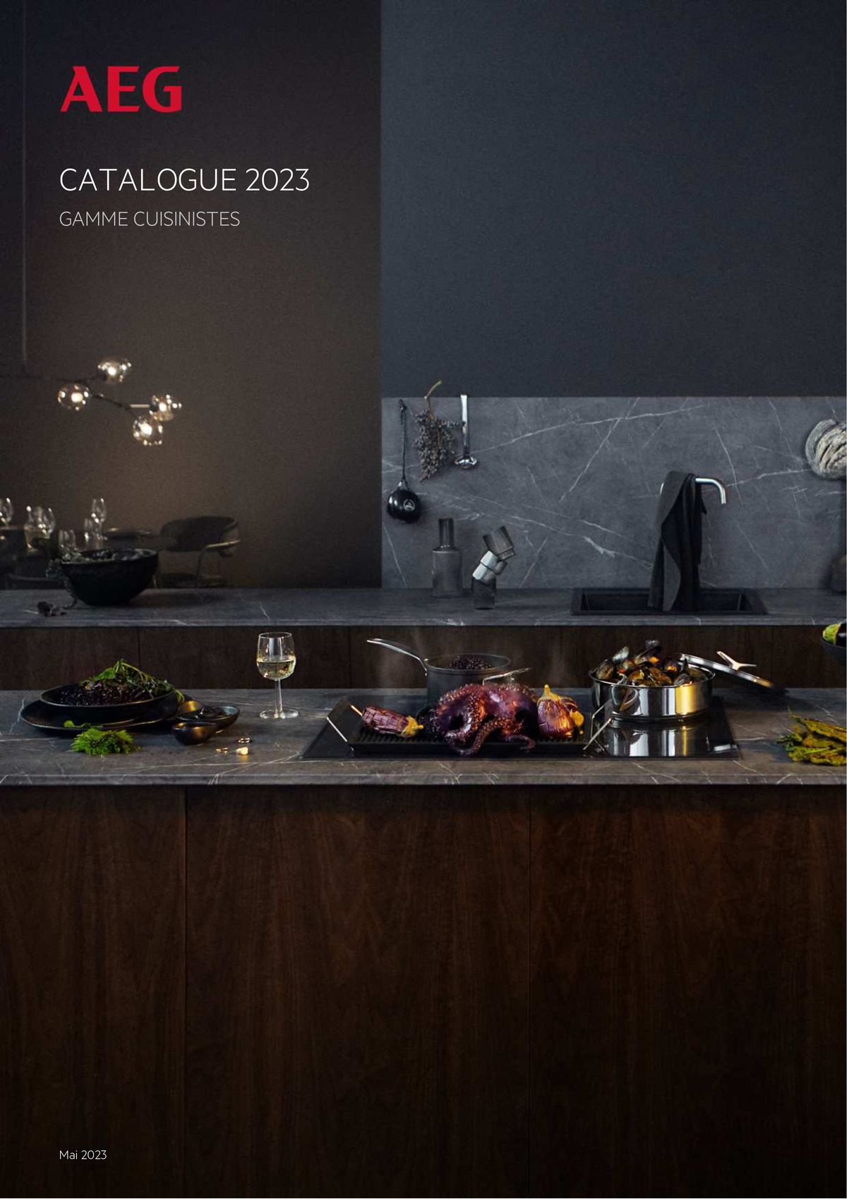 Catalogue Catalogue AEG Gamme Cuisinistes 2023, page 00001