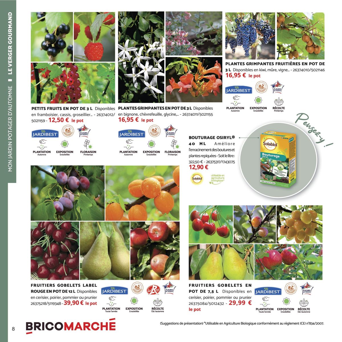 Catalogue Catalogue Bricomarché, page 00008