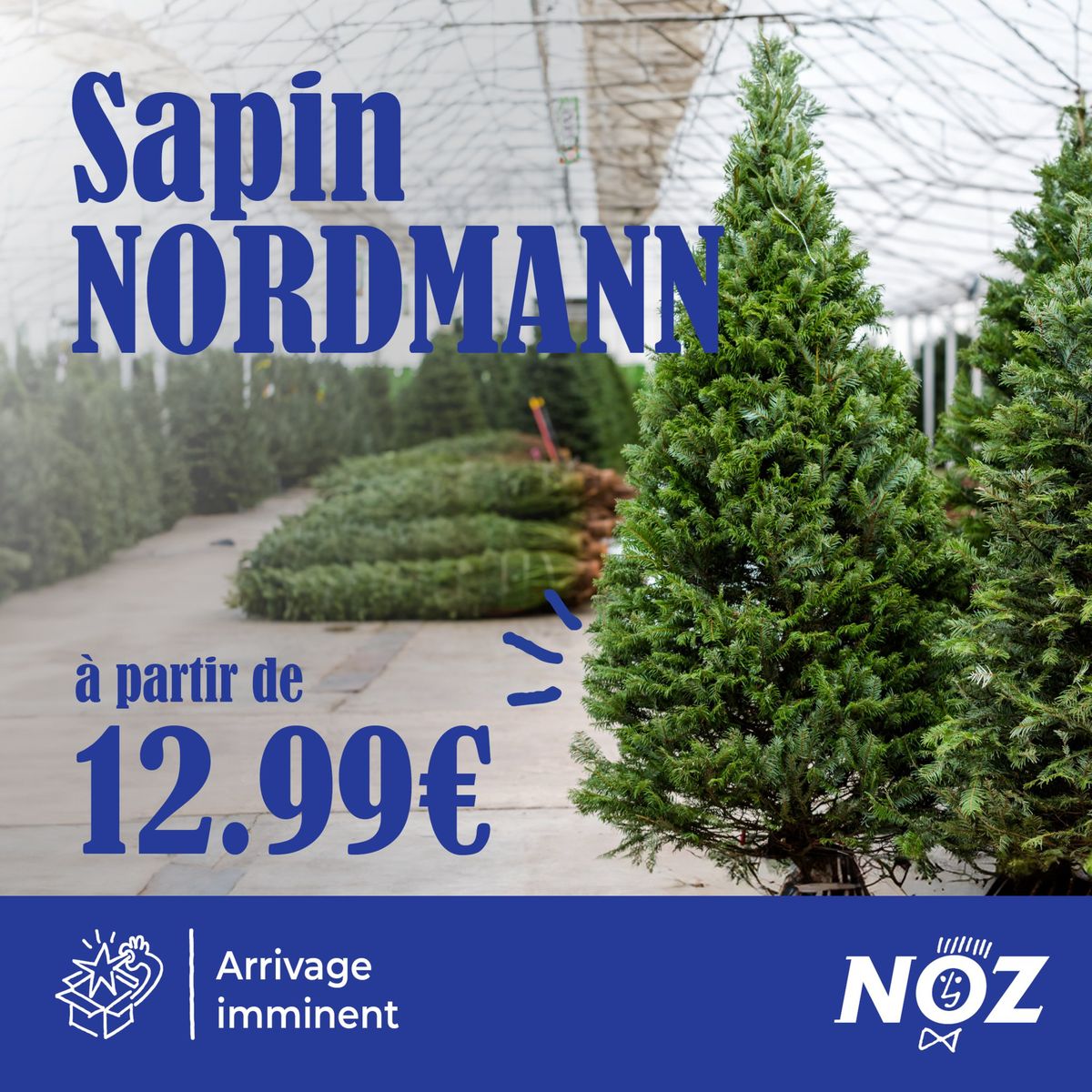 Catalogue Sapin nordmann, page 00001