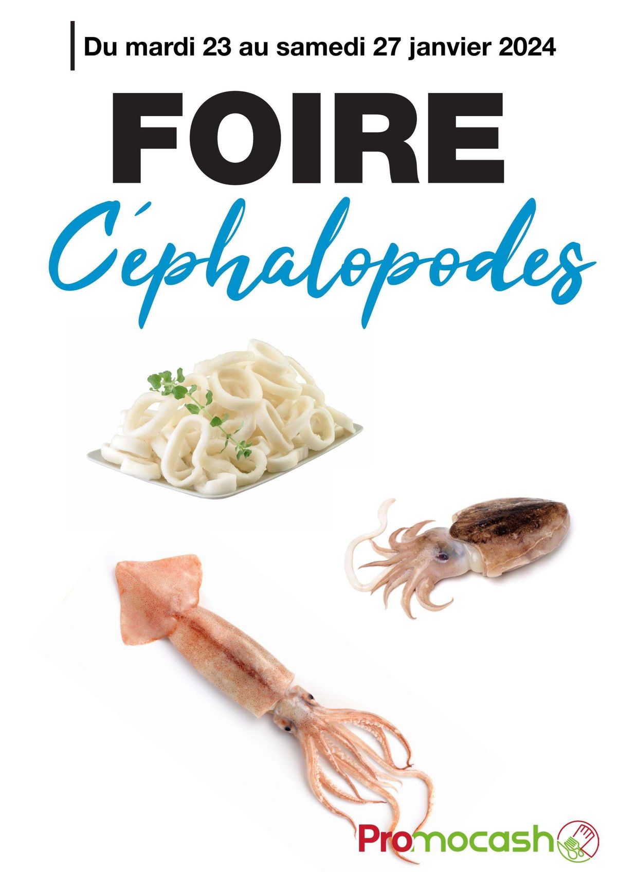 Catalogue Foire Céphalopodes, page 00001