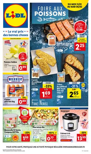 Eram st genis laval hot sale