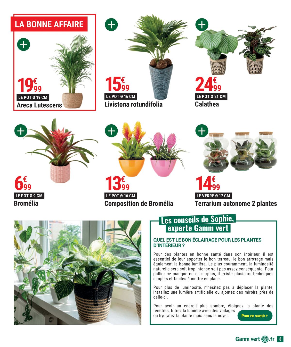 Catalogue Spécial plantes d'interieur, page 00003