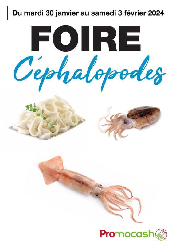 Foire Cephalopodes
