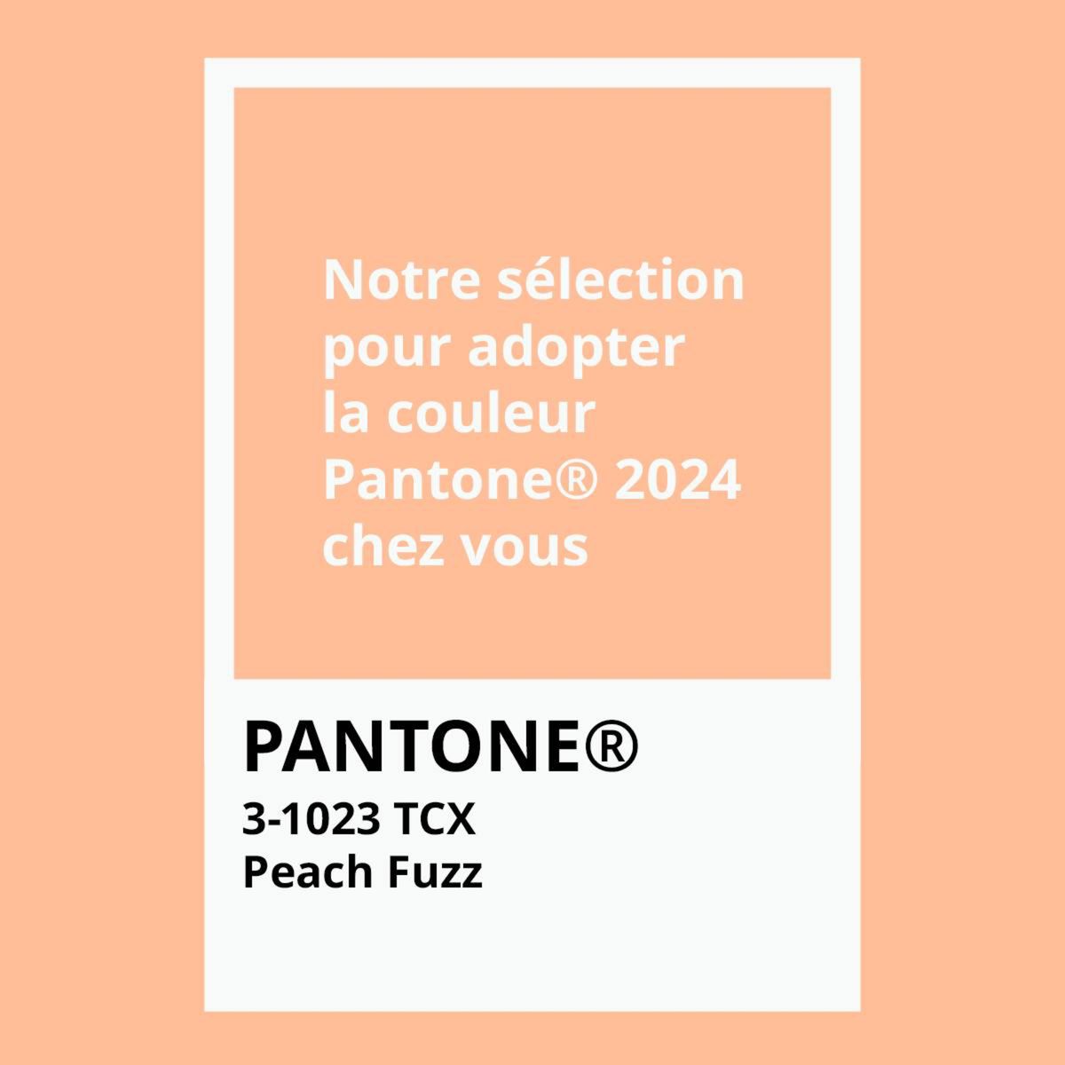 Catalogue Adoptez la couleur de l’année Pantone® chez vous en découvrant notre sélection de produits dans la teinte Peach Fuzz !, page 00001