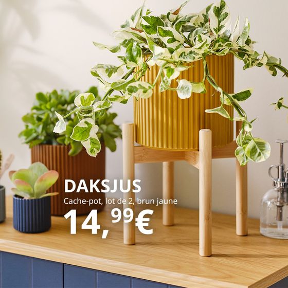Jardinières, cache-pots et vases colorés : il y a tout pour mettre en valeur vos plantes grâce notre collection arborant des motifs contemporains DAKSJUS