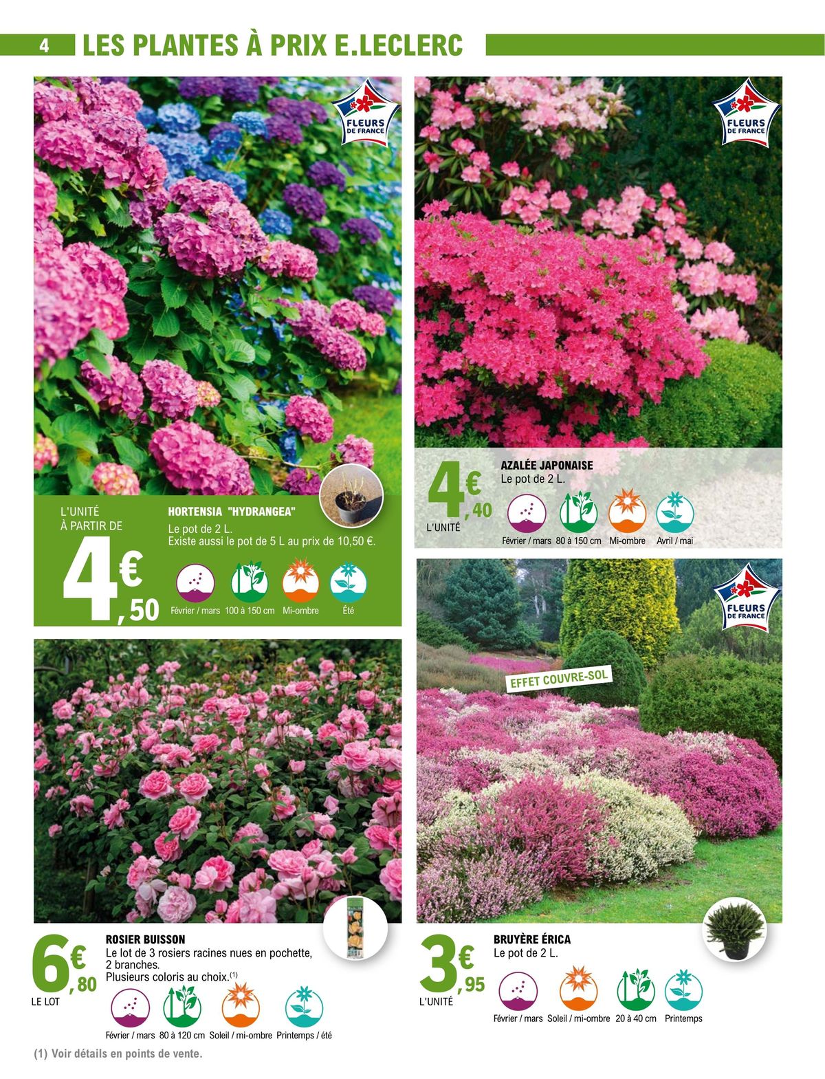 Catalogue Spécial jardin, page 00004