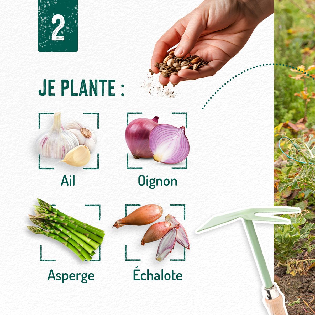 Catalogue Que faire au jardin en février ?, page 00003