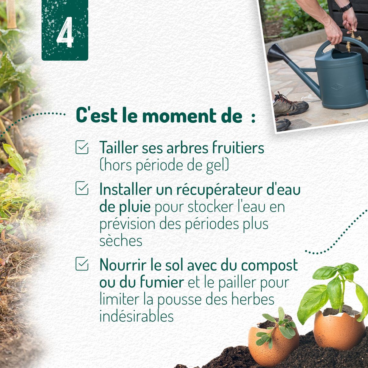 Catalogue Que faire au jardin en février ?, page 00005