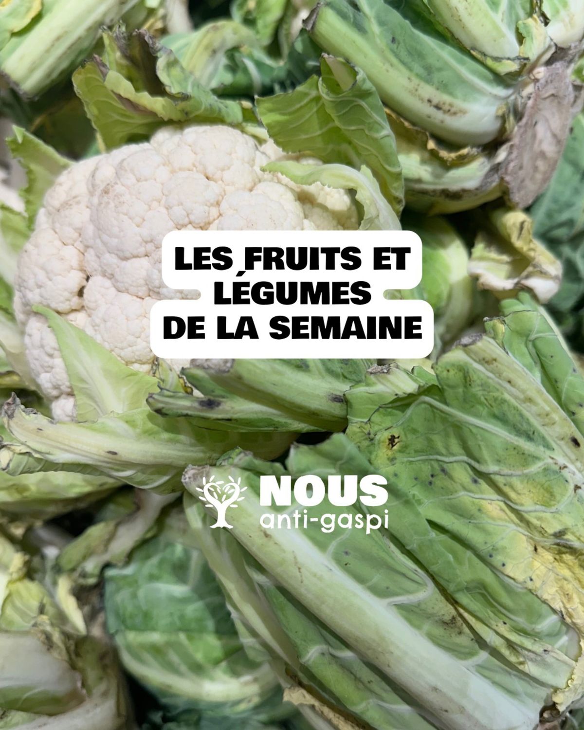 Catalogue NOUS anti-gaspi : il s'agit des Fruits et Légumes de la semaine !, page 00001