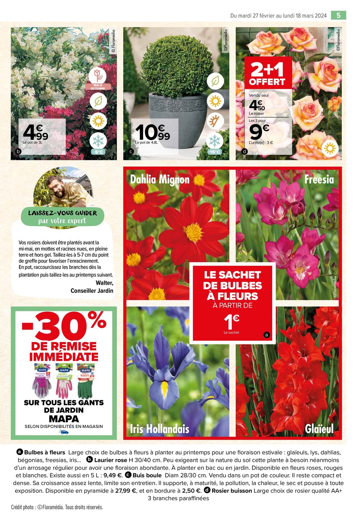 Catalogue Jardin, page 00005