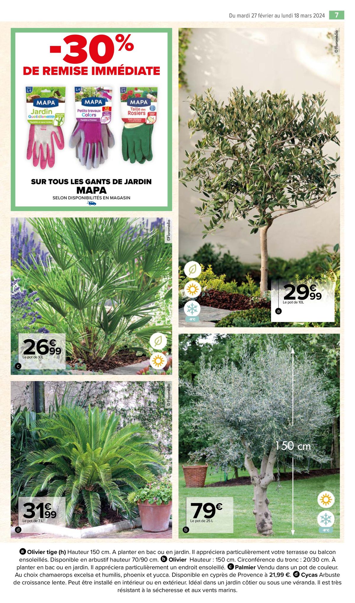 Catalogue Jardin, page 00007
