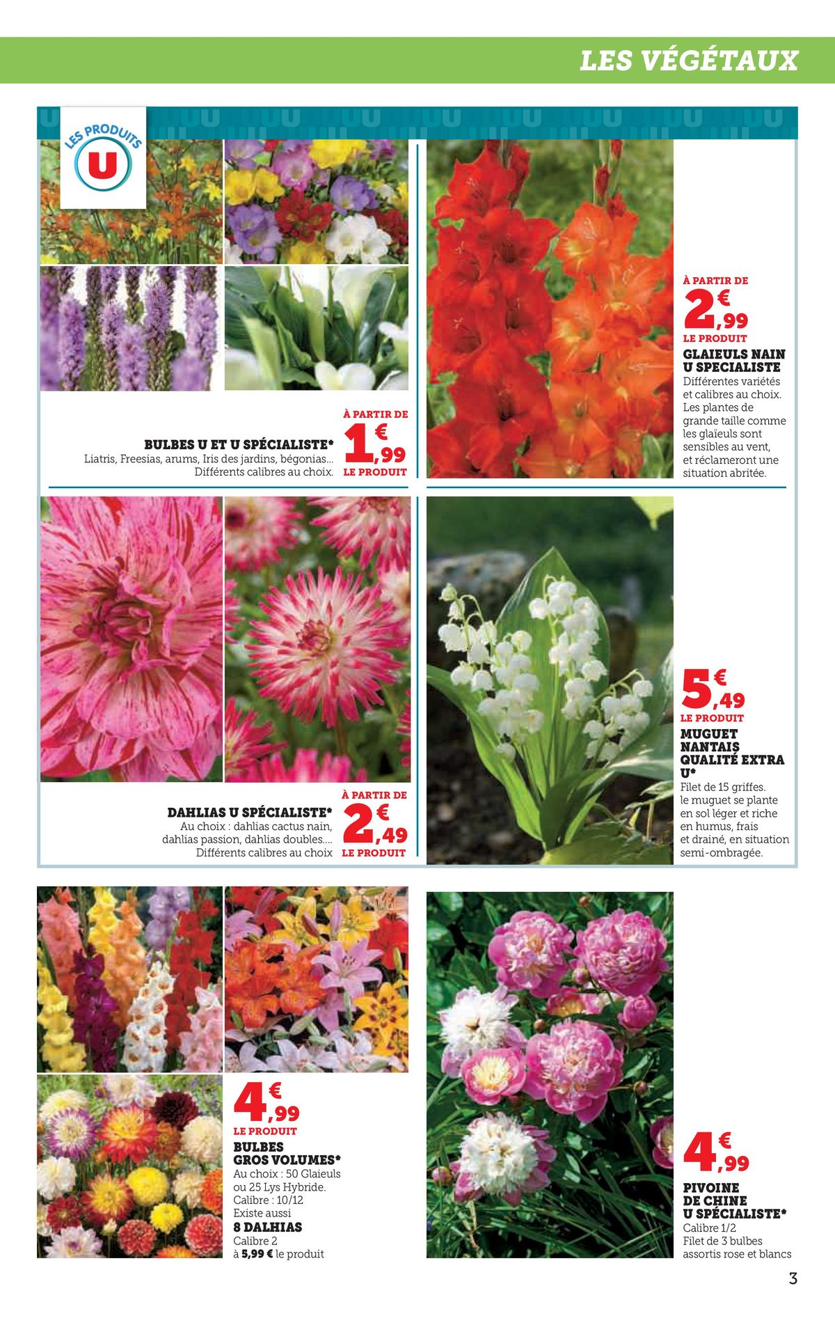 Catalogue Le jardin à prix bas, page 00003