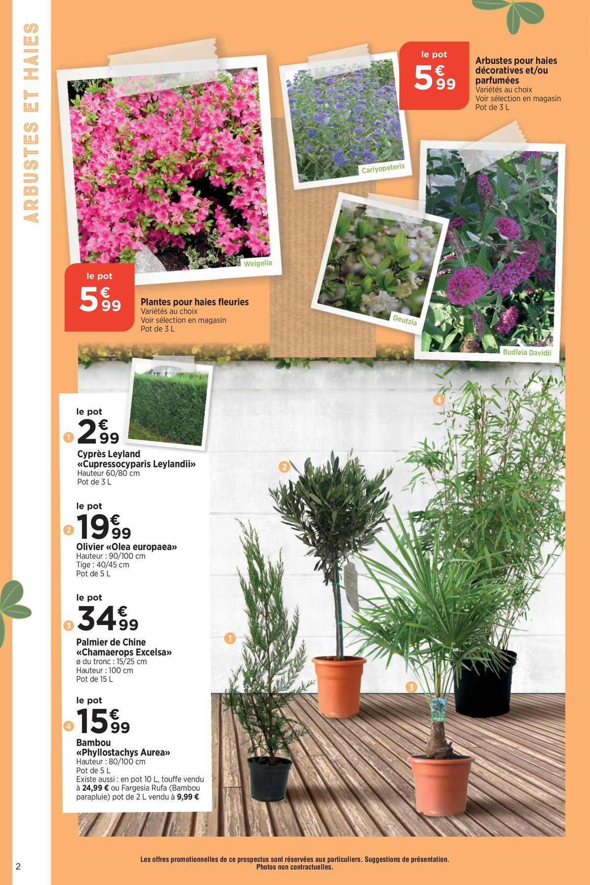 Catalogue Mon beau jardin, page 00002