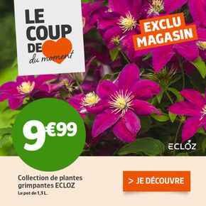 Catalogue Jardiland à Nice | Collection de plantes grimpantes ECLOZ | 27/02/2024 - 06/03/2024