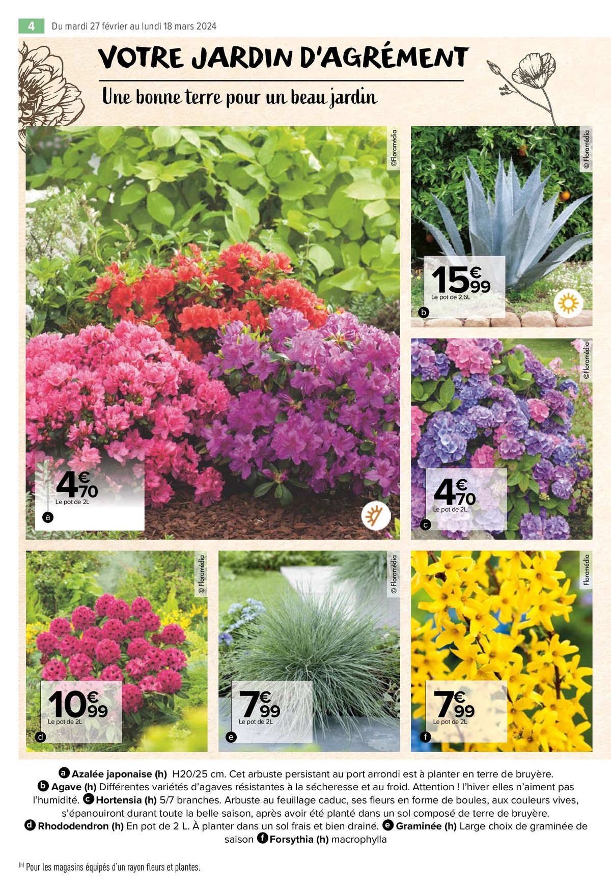 Catalogue Jardin, page 00004