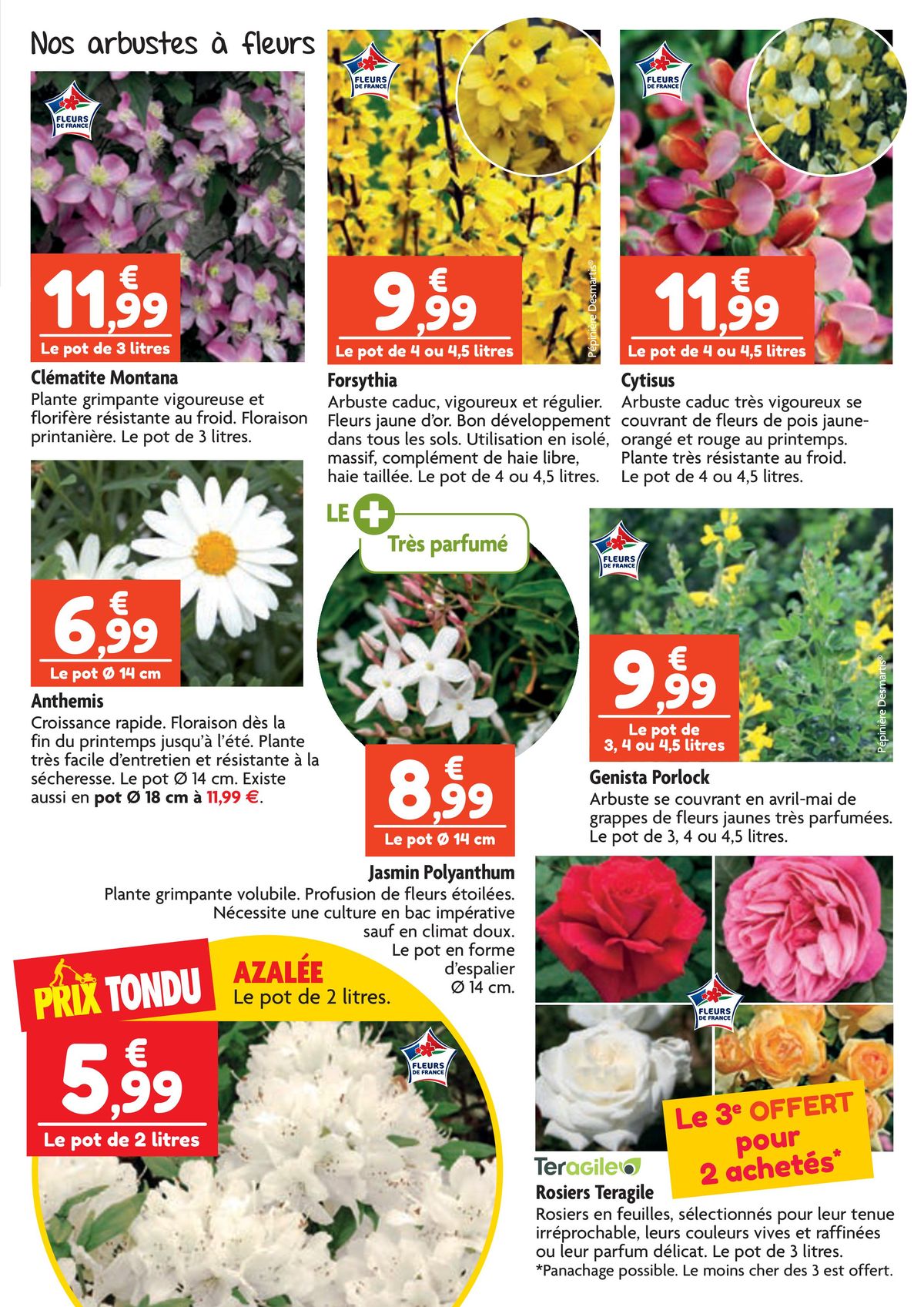 Catalogue À vos côtés pour un jardin aux belles couleurs !, page 00002