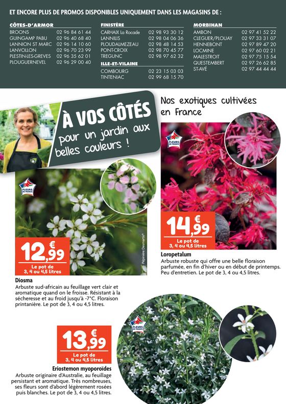 Catalogue Point Vert à Metz | À vos côtés pour un jardin aux belles couleurs ! | 11/03/2024 - 31/03/2024