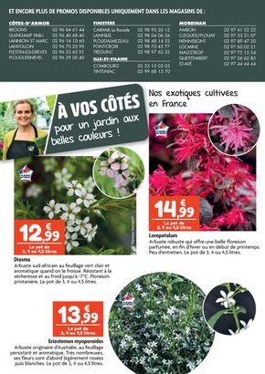 Promos de Jardineries et Animaleries à Lens | À vos côtés pour un jardin aux belles couleurs ! sur Point Vert | 11/03/2024 - 31/03/2024