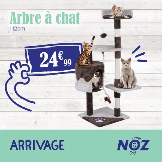 Arbre à chat