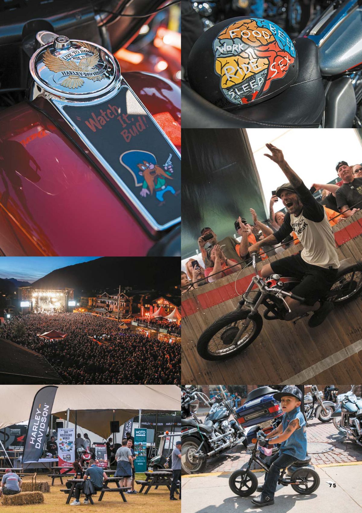 Catalogue GAMME Harley-Davidson® 2024, page 00075