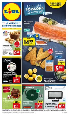 Catalogue Lidl | La foire aux poissons Lidl !  | 20/03/2024 - 26/03/2024