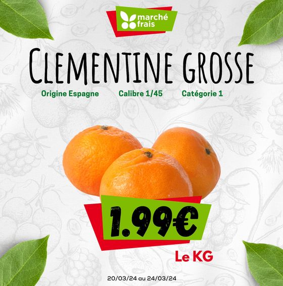 Clementine grosse