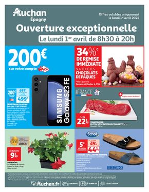 Catalogue Auchan Hypermarché à Annecy | Lundi de Paques | 01/04/2024 - 01/04/2024
