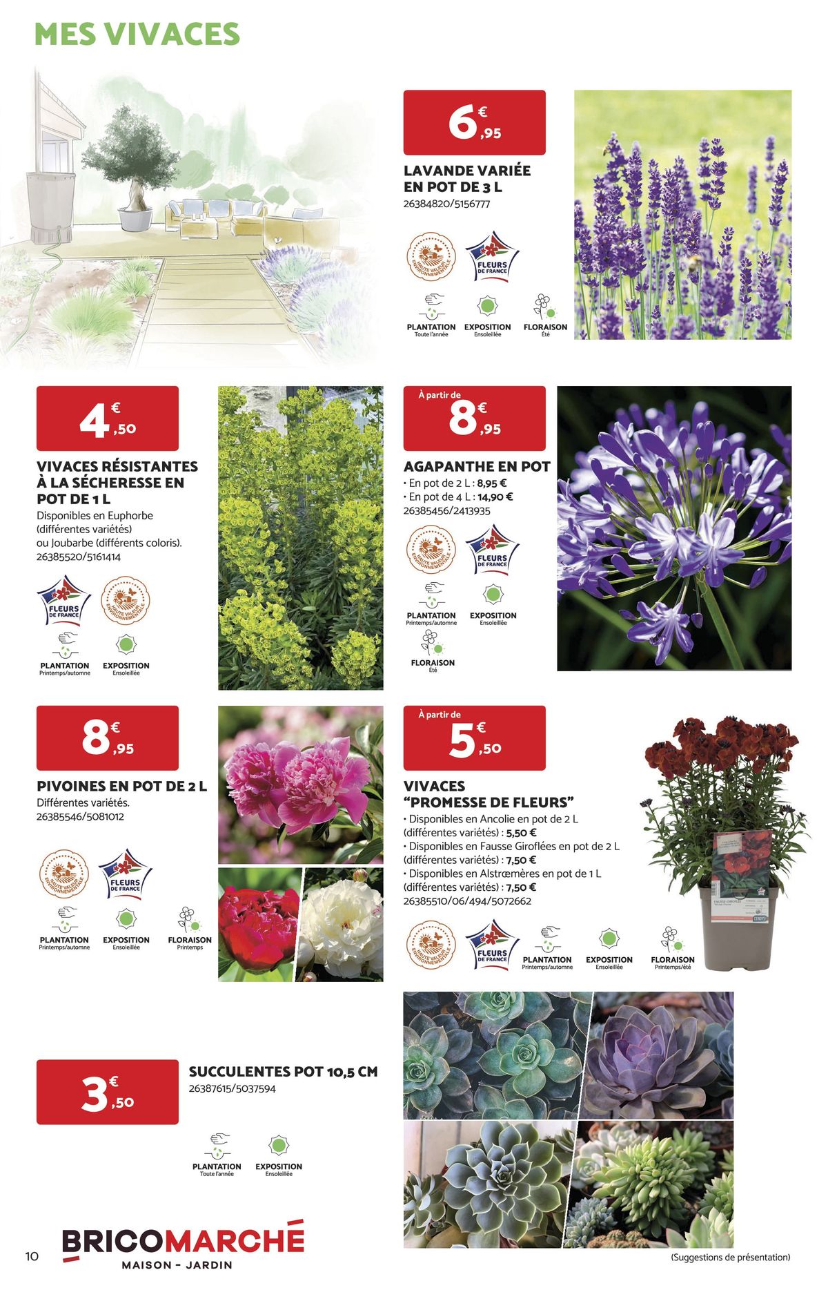 Catalogue C'EST LE BON PLANT!, page 00010