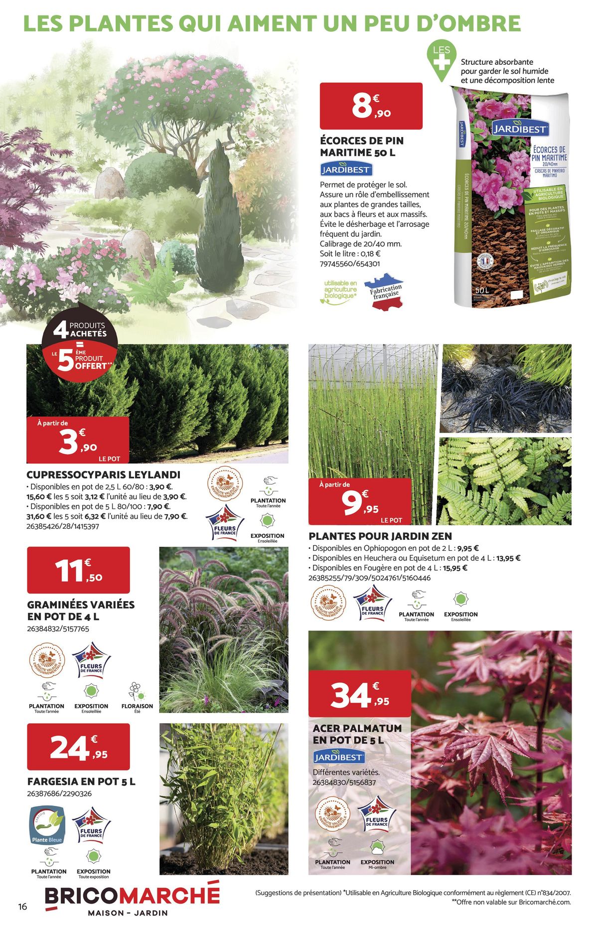 Catalogue C'EST LE BON PLANT!, page 00016