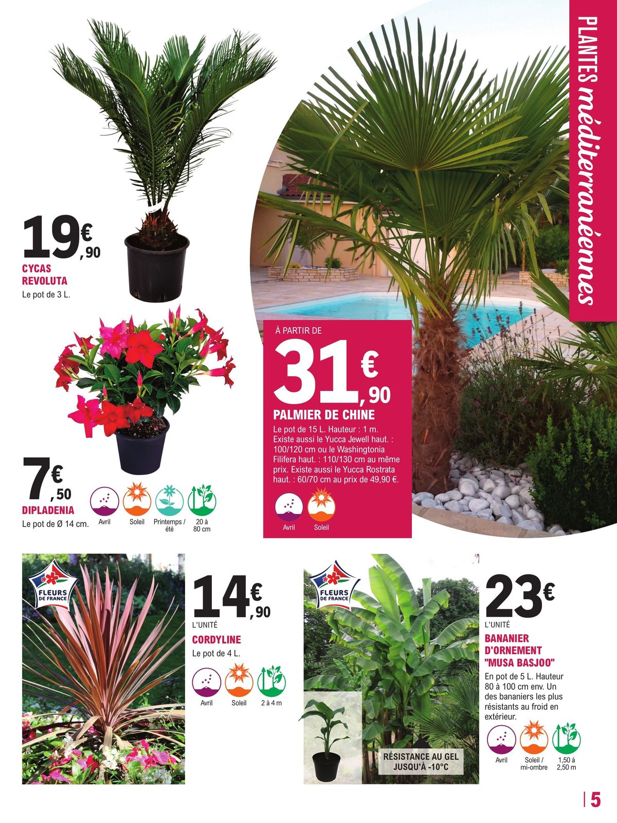 Catalogue Préparez votre jardin à prix , page 00005
