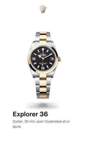 Catalogue Rolex à Puteaux | Explorer 36 | 05/04/2024 - 31/05/2024