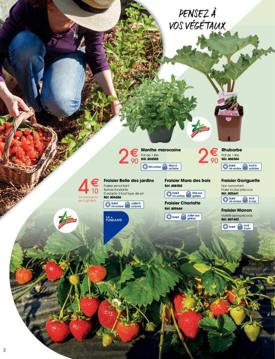 Catalogue Brico Pro | Pensez à vos végétaux | 12/04/2024 - 20/04/2024