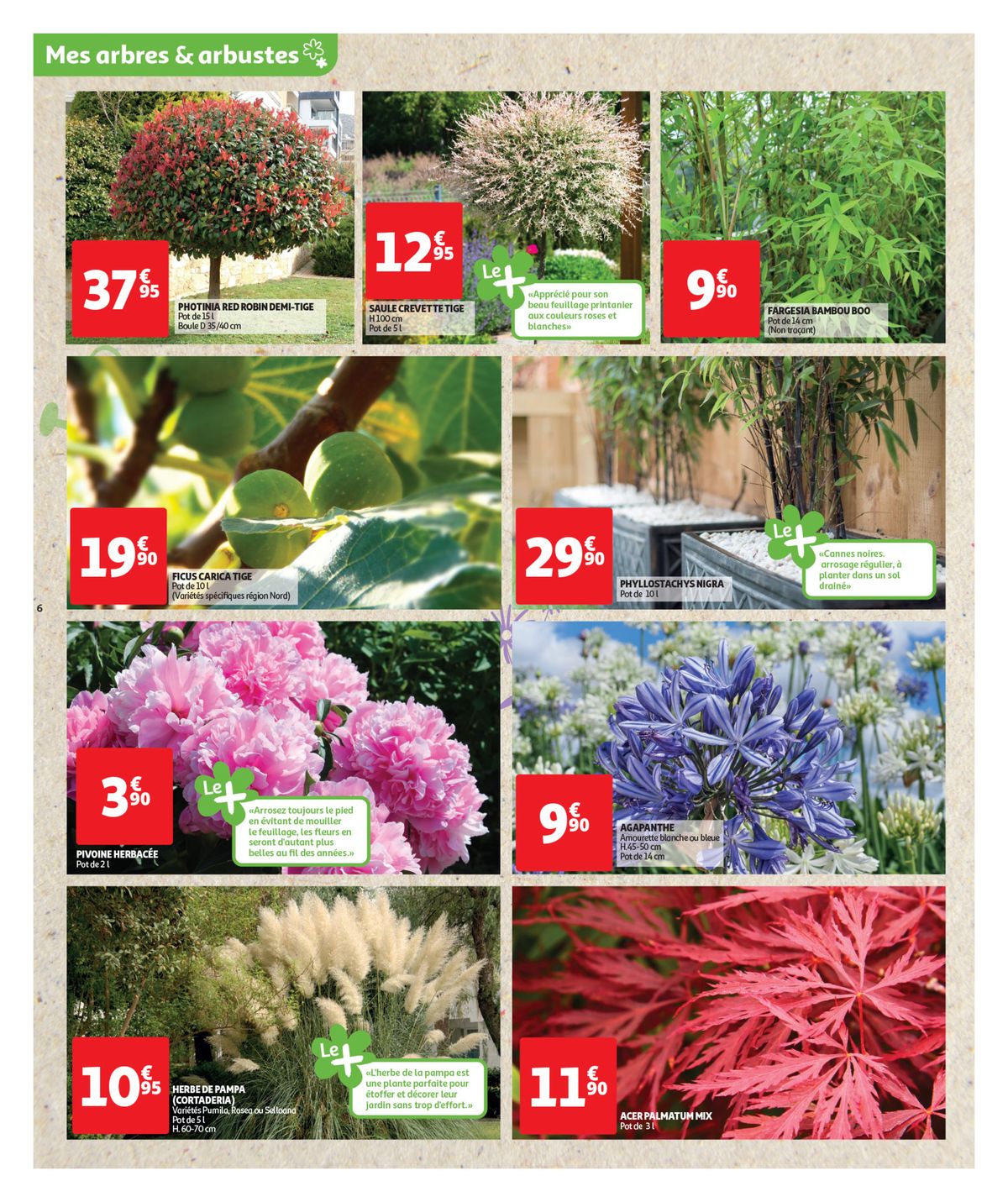 Catalogue Foire aux fleurs, page 00006
