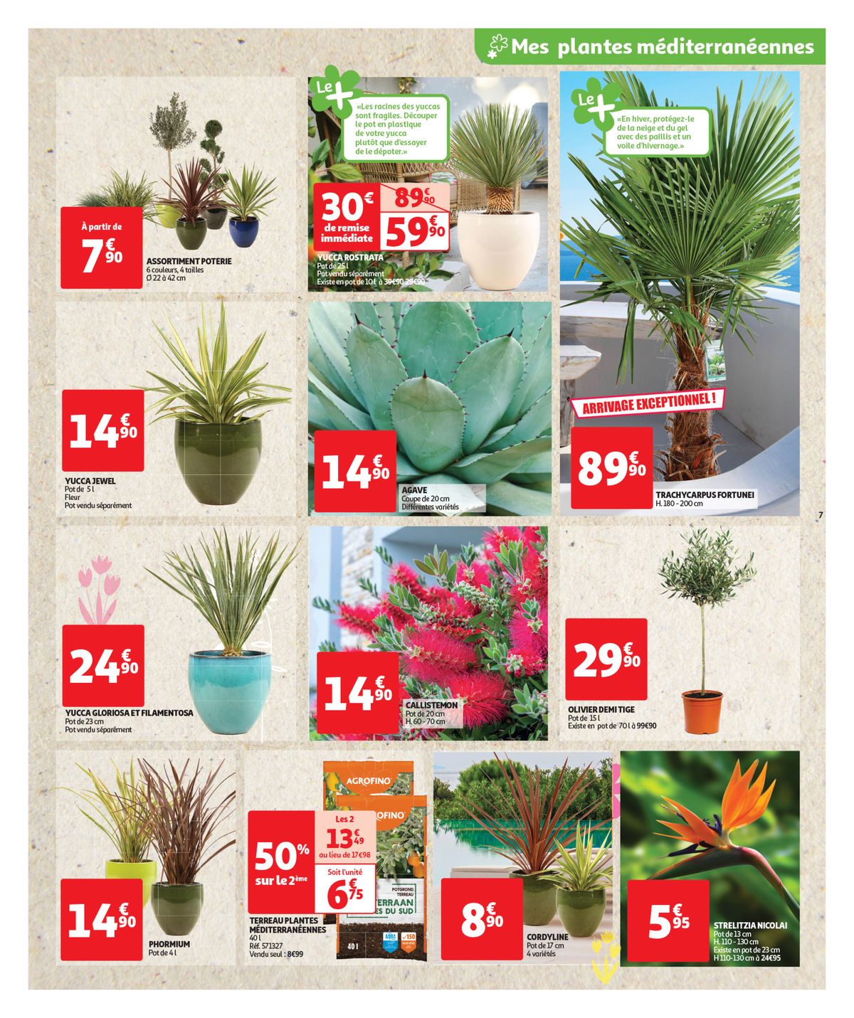 Catalogue Foire aux fleurs, page 00007