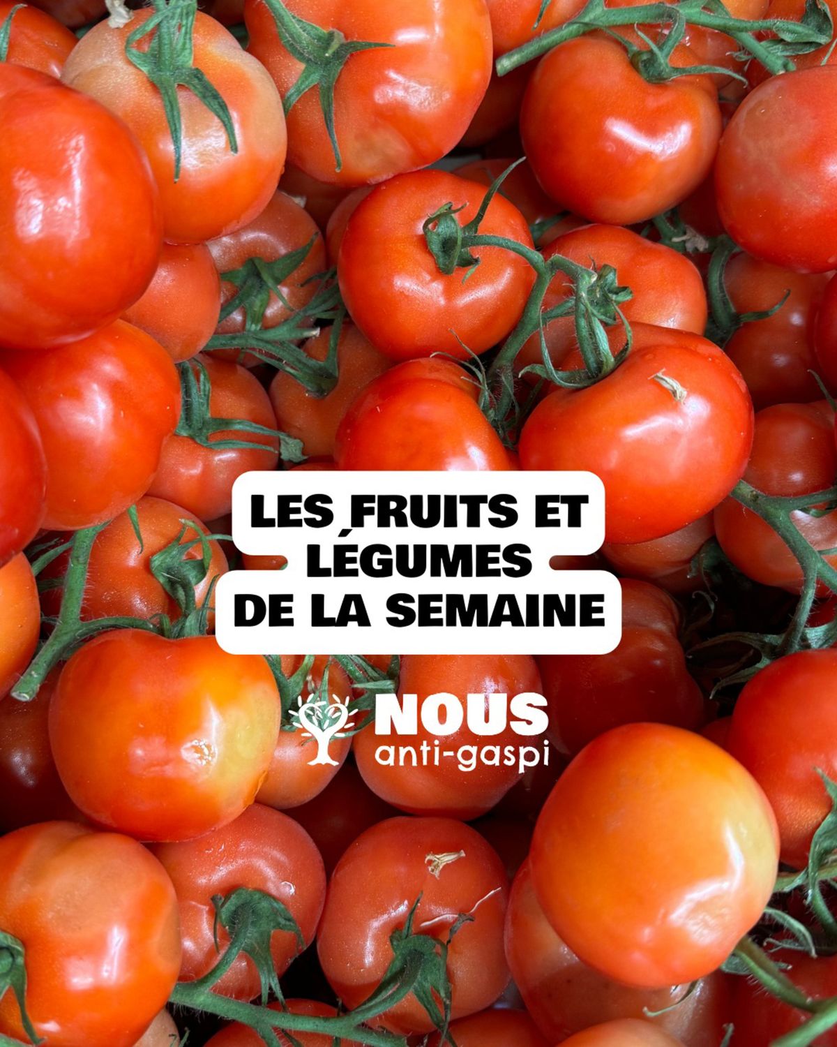 Catalogue Des fruits et légumes 100% sont à retrouver dans vos épiceries NOUS et en plus à prix mini !, page 00001