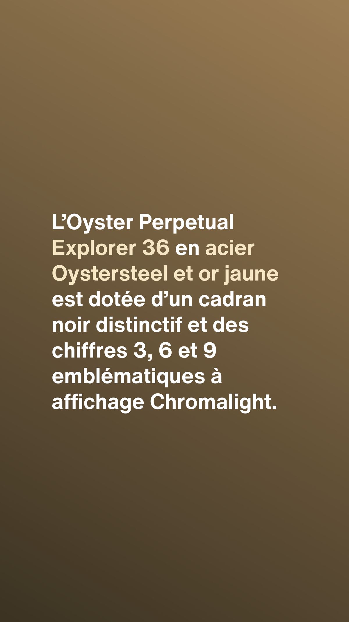 Catalogue Oyster, 36 mm, acier Oystersteel et or jaune, page 00002