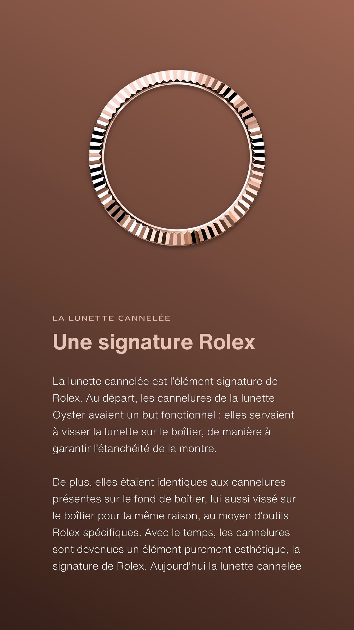 Catalogue Oyster, 42 mm, or Everose, page 00005