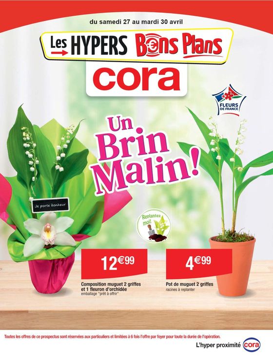 Catalogue Cora à Saint-Quentin | Un brin malin ! | 27/04/2024 - 30/04/2024