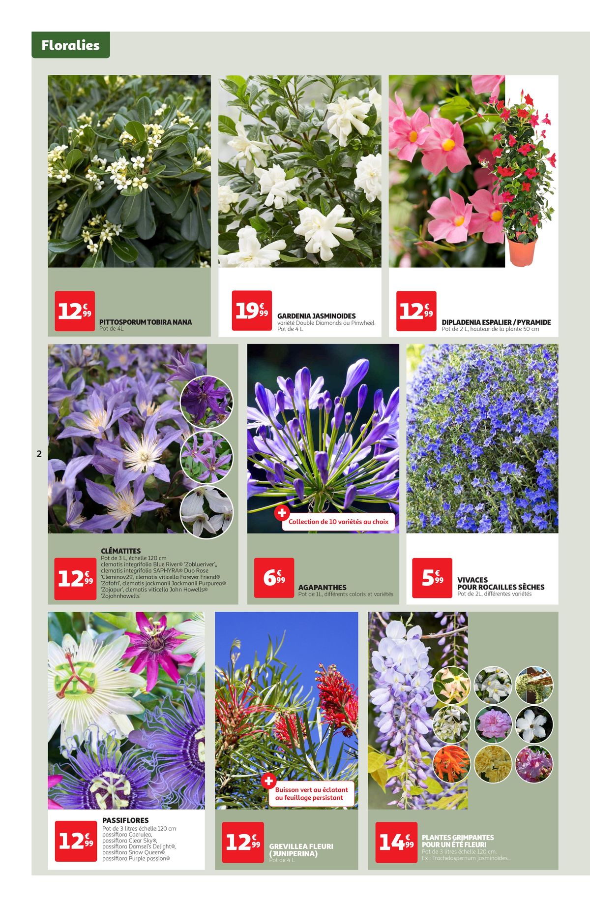 Catalogue Les floralies, de retour dans vos jardins !, page 00002