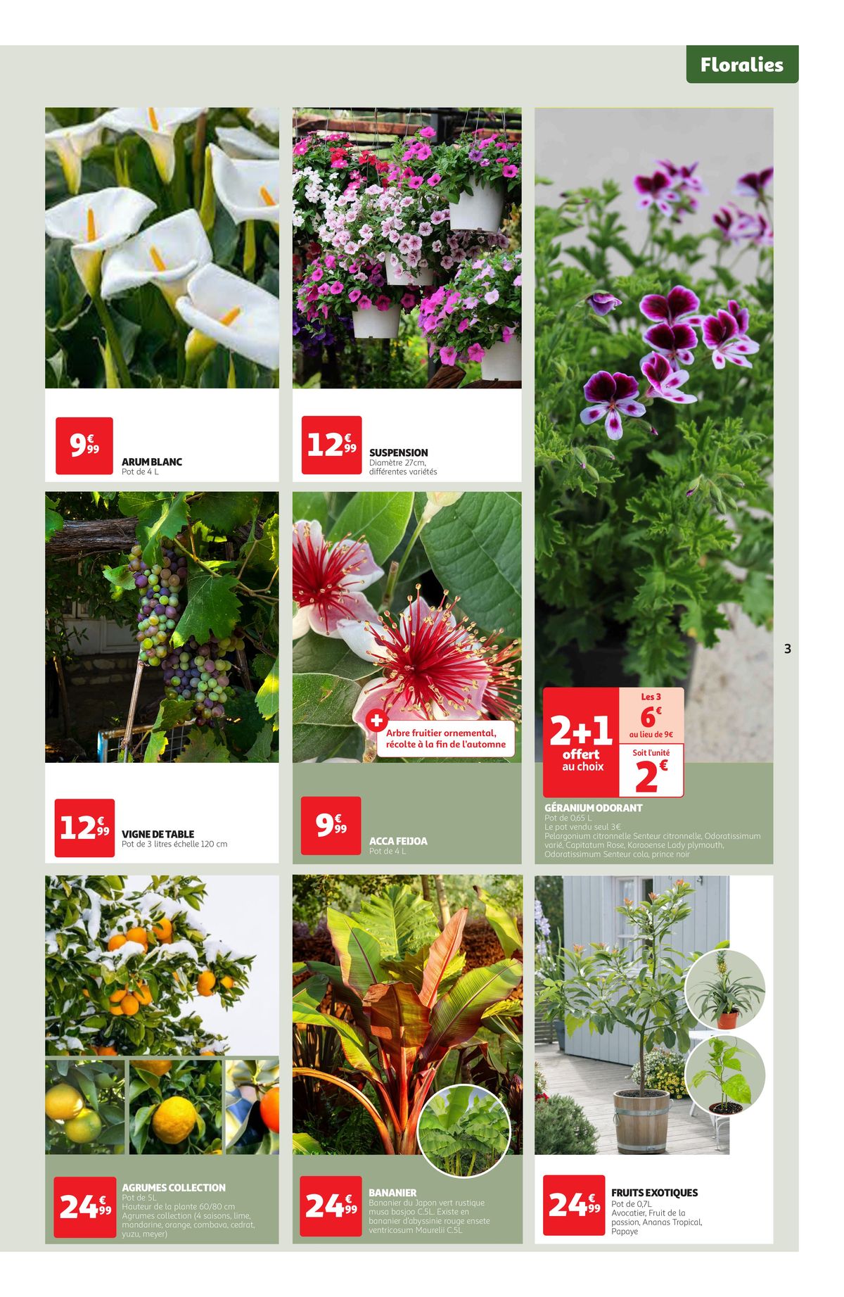 Catalogue Les floralies, de retour dans vos jardins !, page 00003