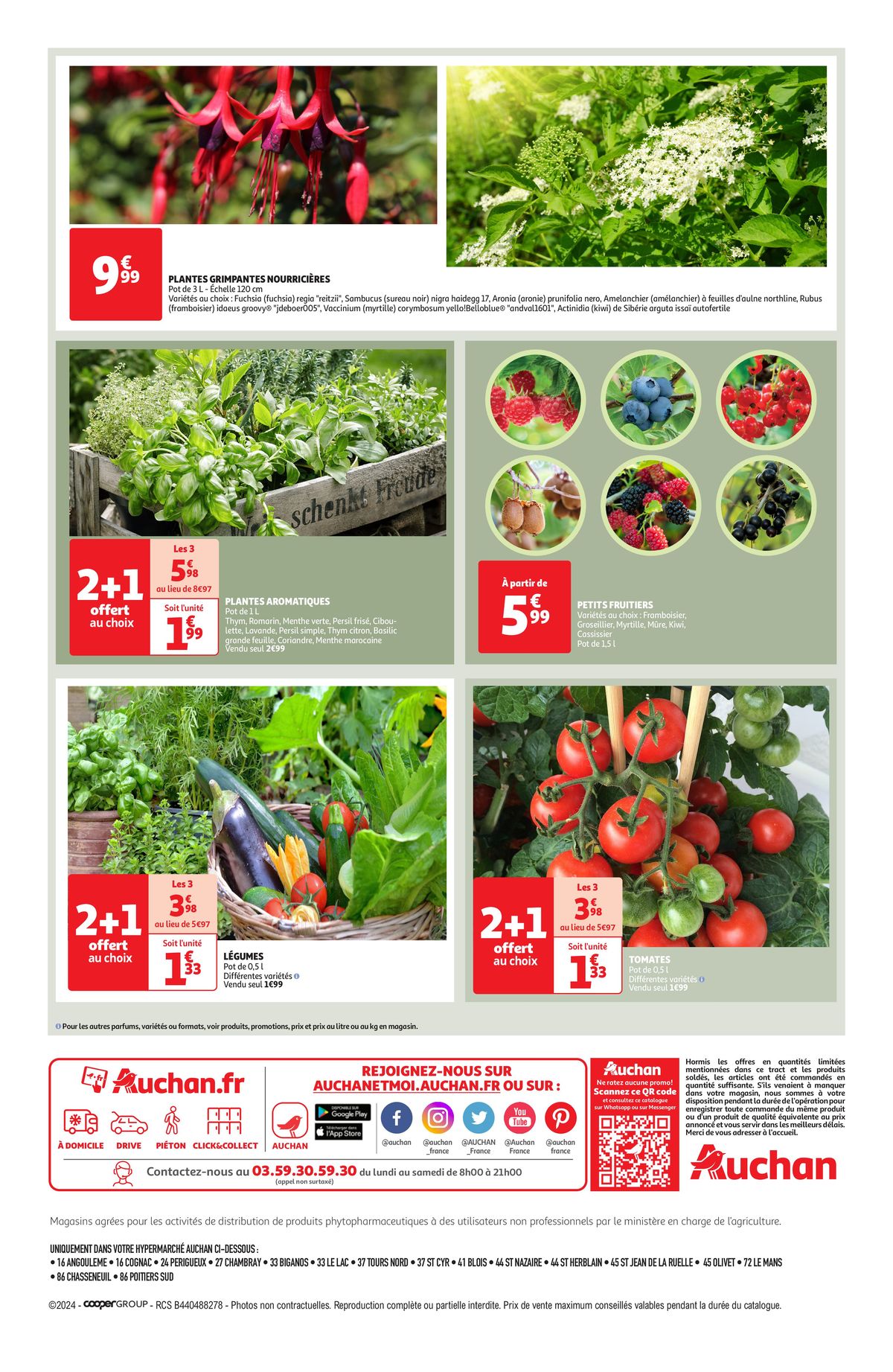 Catalogue Les floralies, de retour dans vos jardins !, page 00004