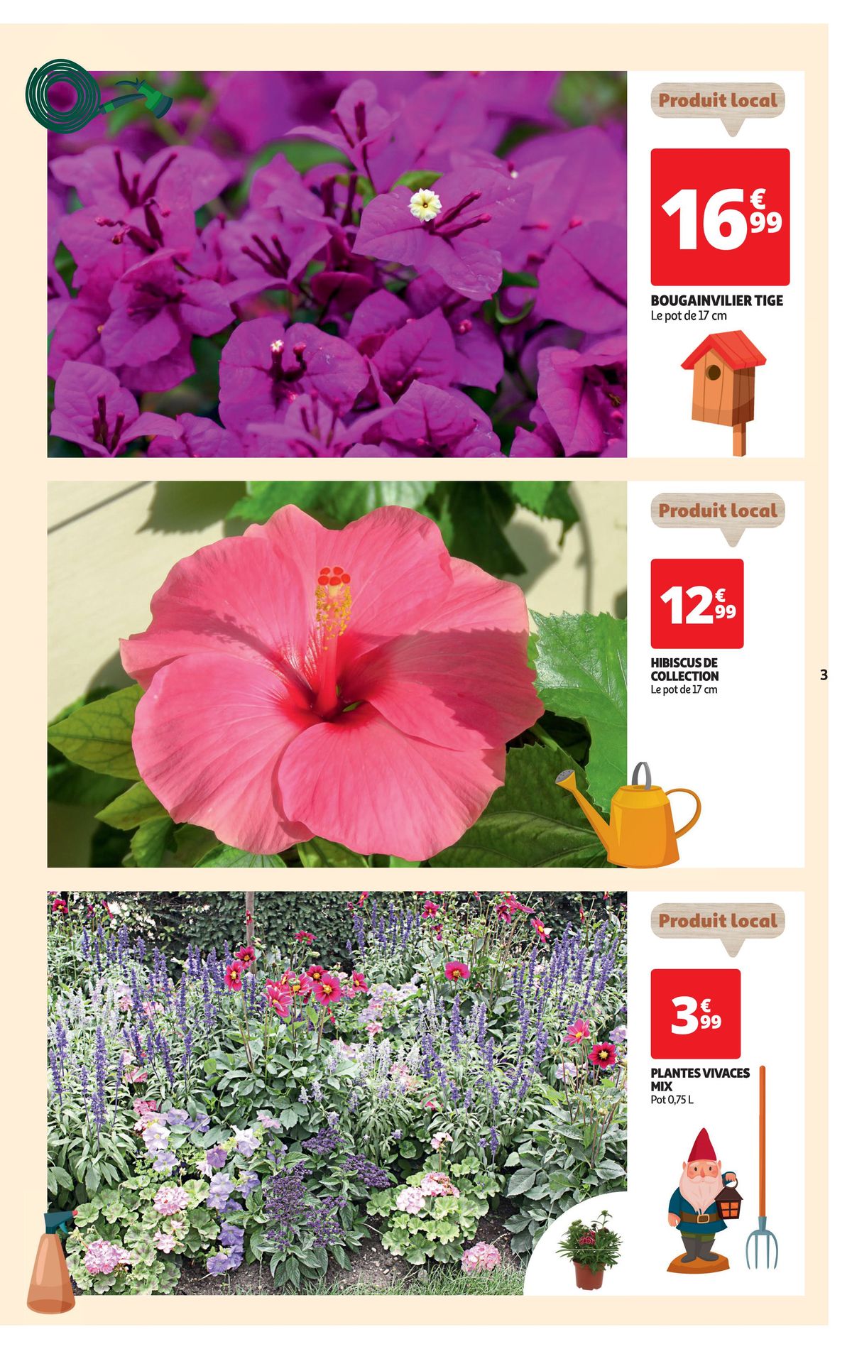 Catalogue Spécial Floralies, page 00003
