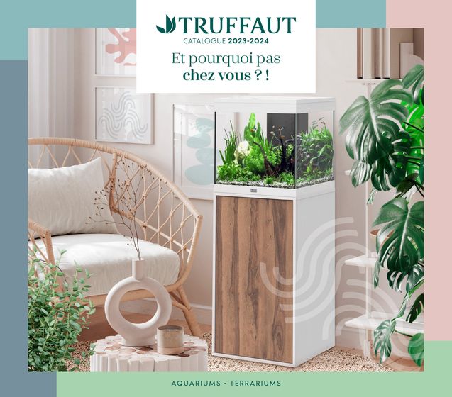 Catalogue Truffaut à Saint-Maximin (Oise) | Et pourquoi pas chez vous ? ! | 29/04/2024 - 30/09/2024