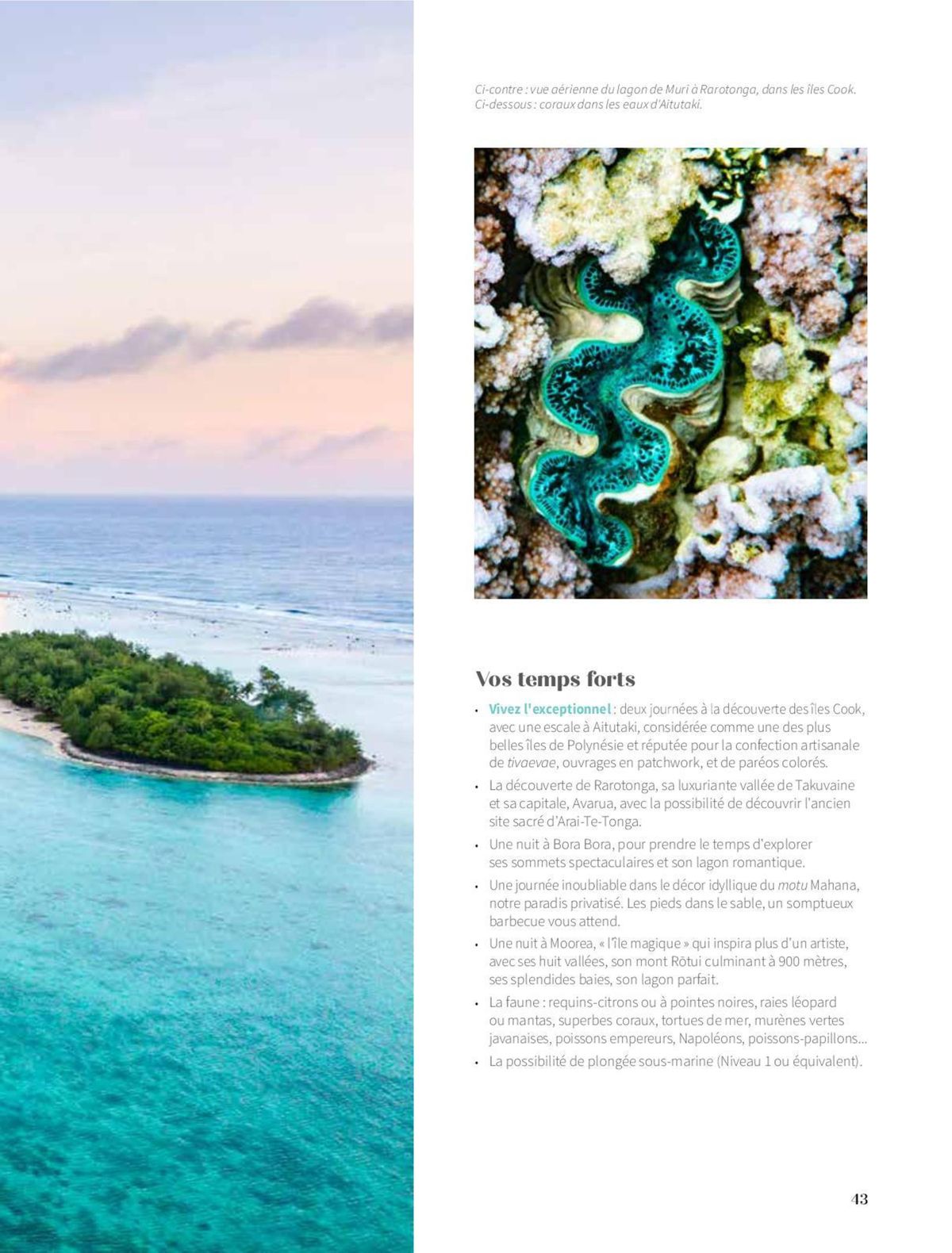 Catalogue Paul Gauguin Croisières 2026, page 00037